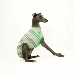 Crazy Greyhound Ladies Whippet Sleeveless Hound-Tee